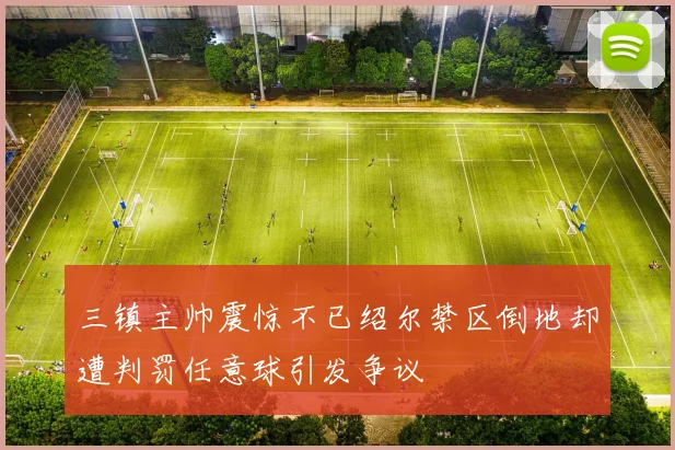 三镇主帅震惊不已绍尔禁区倒地却遭判罚任意球引发争议