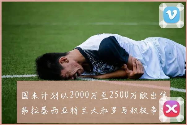 国米计划以2000万至2500万欧出售弗拉泰西亚特兰大和罗马积极争夺