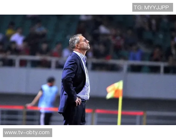 沈祥福高洪波杨晨当选北京足协副主席新团队助力足球发展